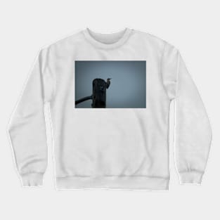 hll woodpecker Crewneck Sweatshirt